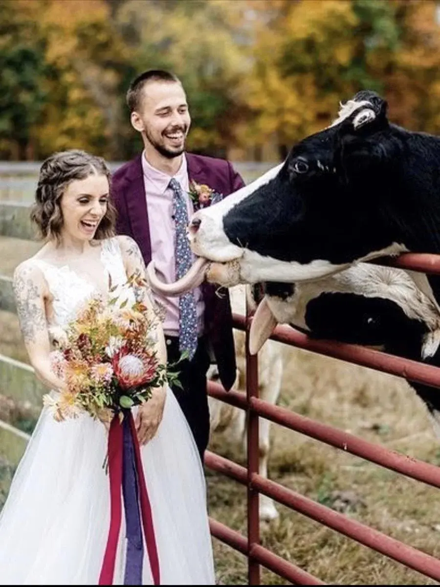 barn wedding hangrr